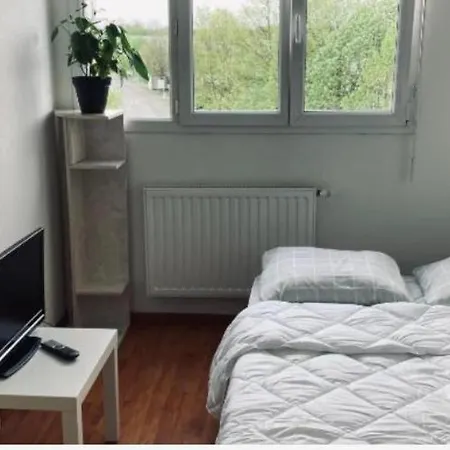 Zenith Strasbourg 2 *